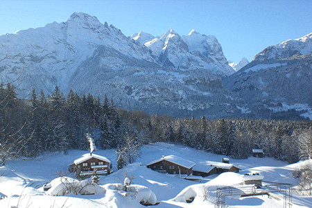 Pension Staldacher
- Hasliberg -