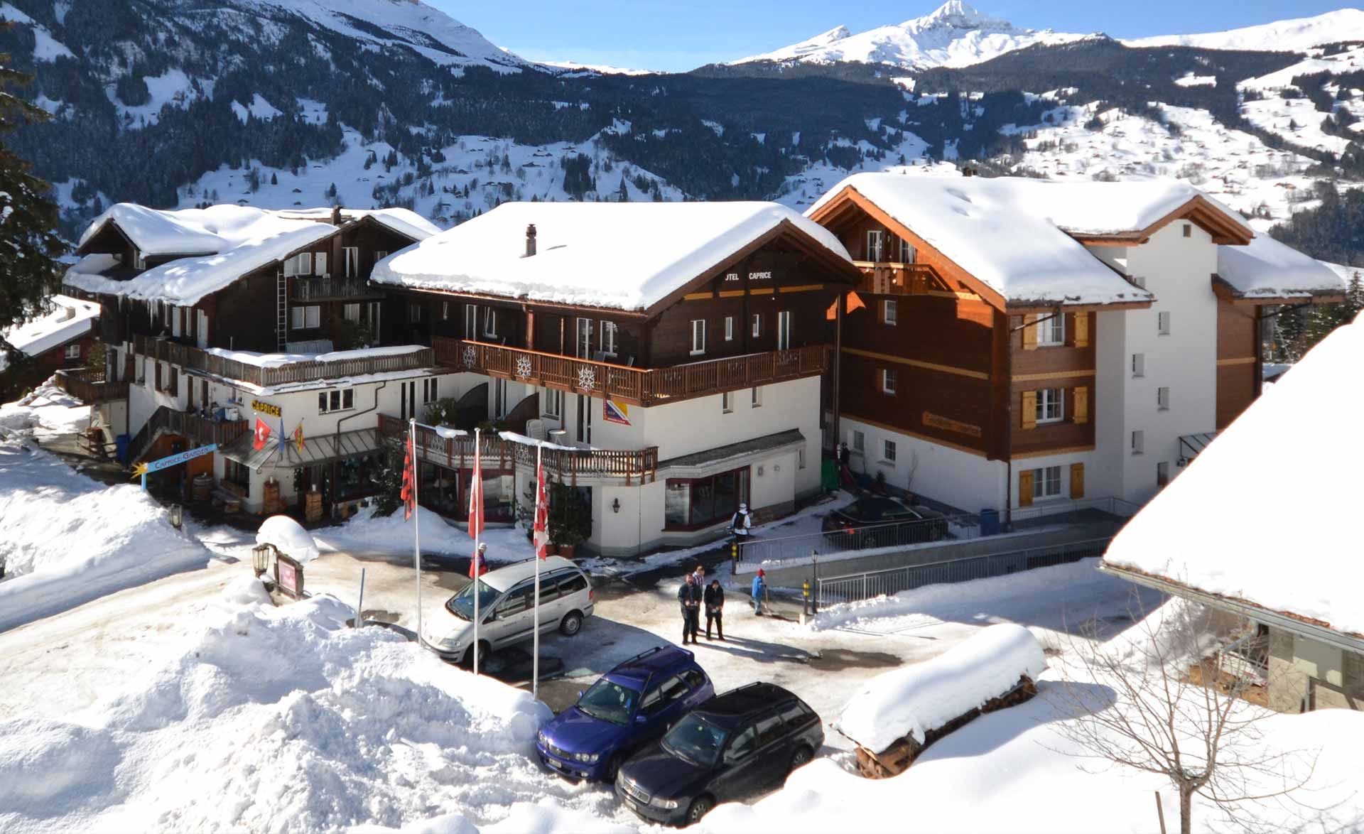 Hotel Alpenhof - Grindelwald -