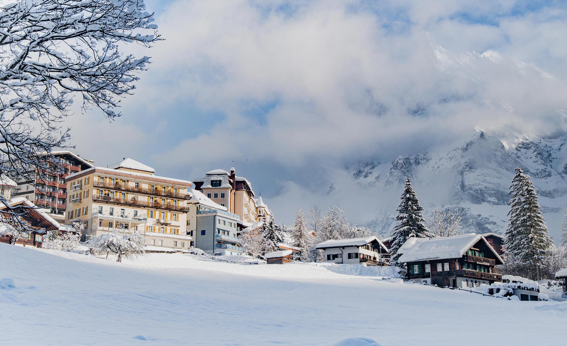 Hotel Alpenhof - Grindelwald -