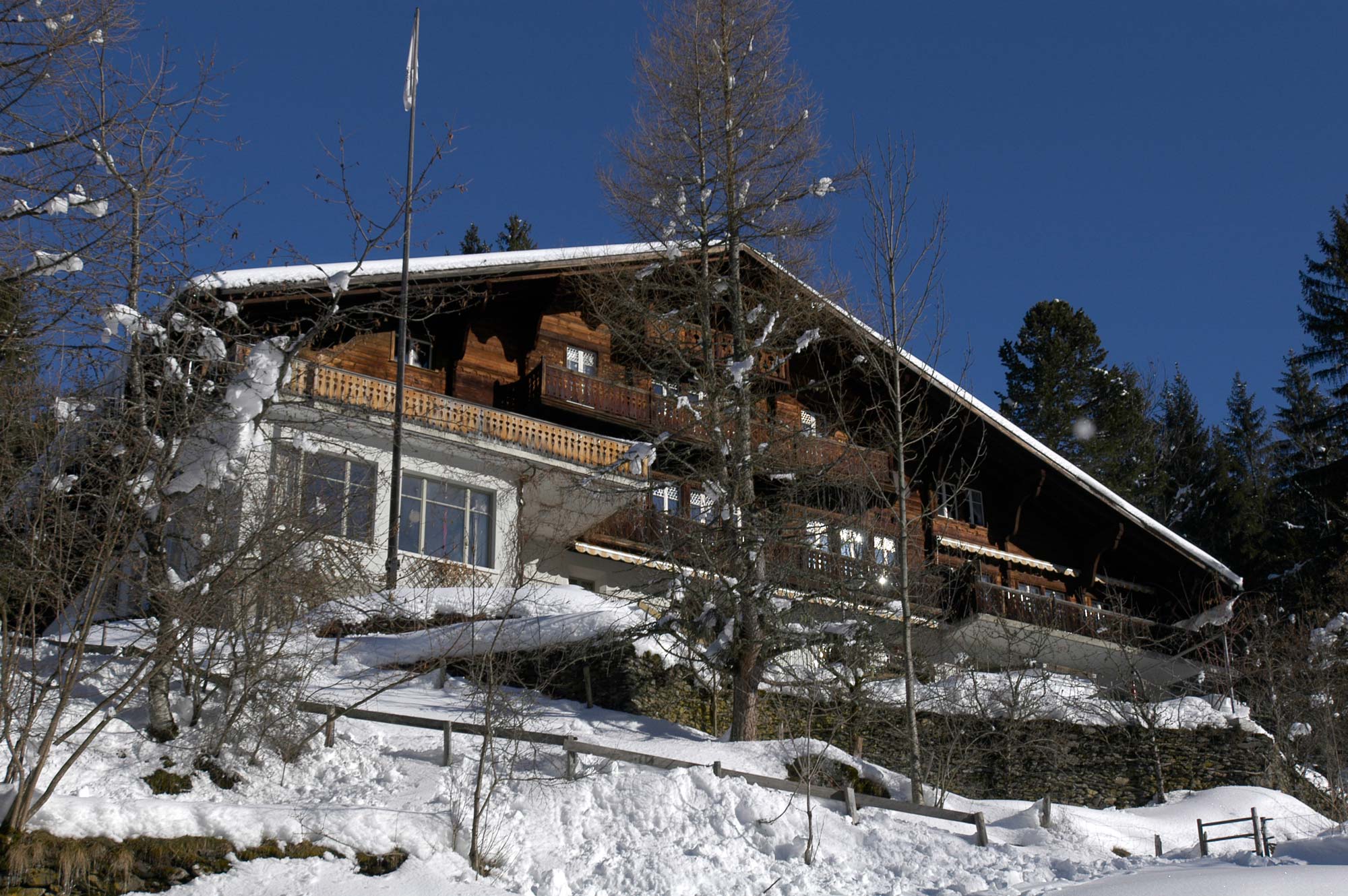 Hotel Alpenhof - Grindelwald -