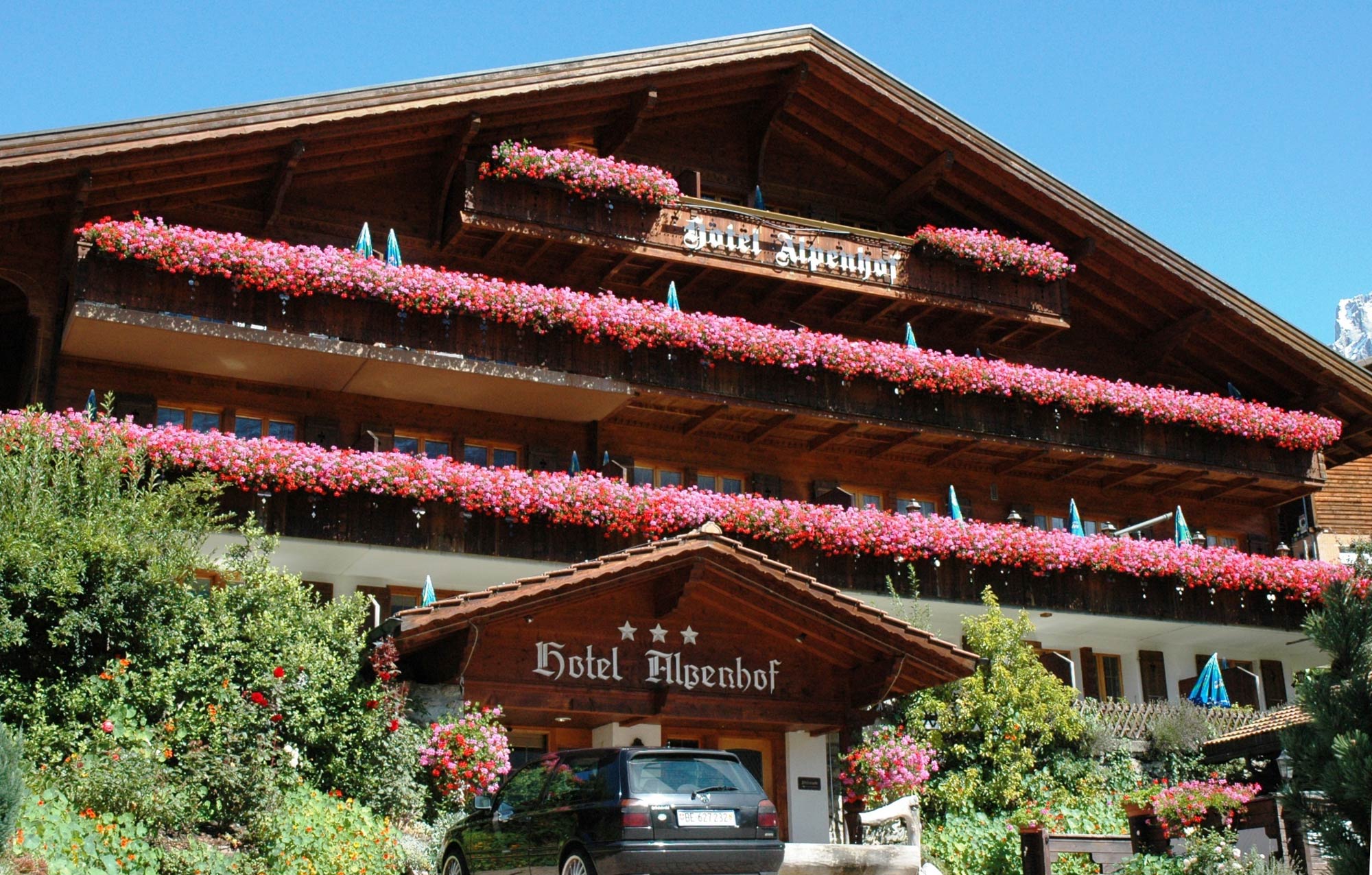 Hotel Alpenhof - Grindelwald -