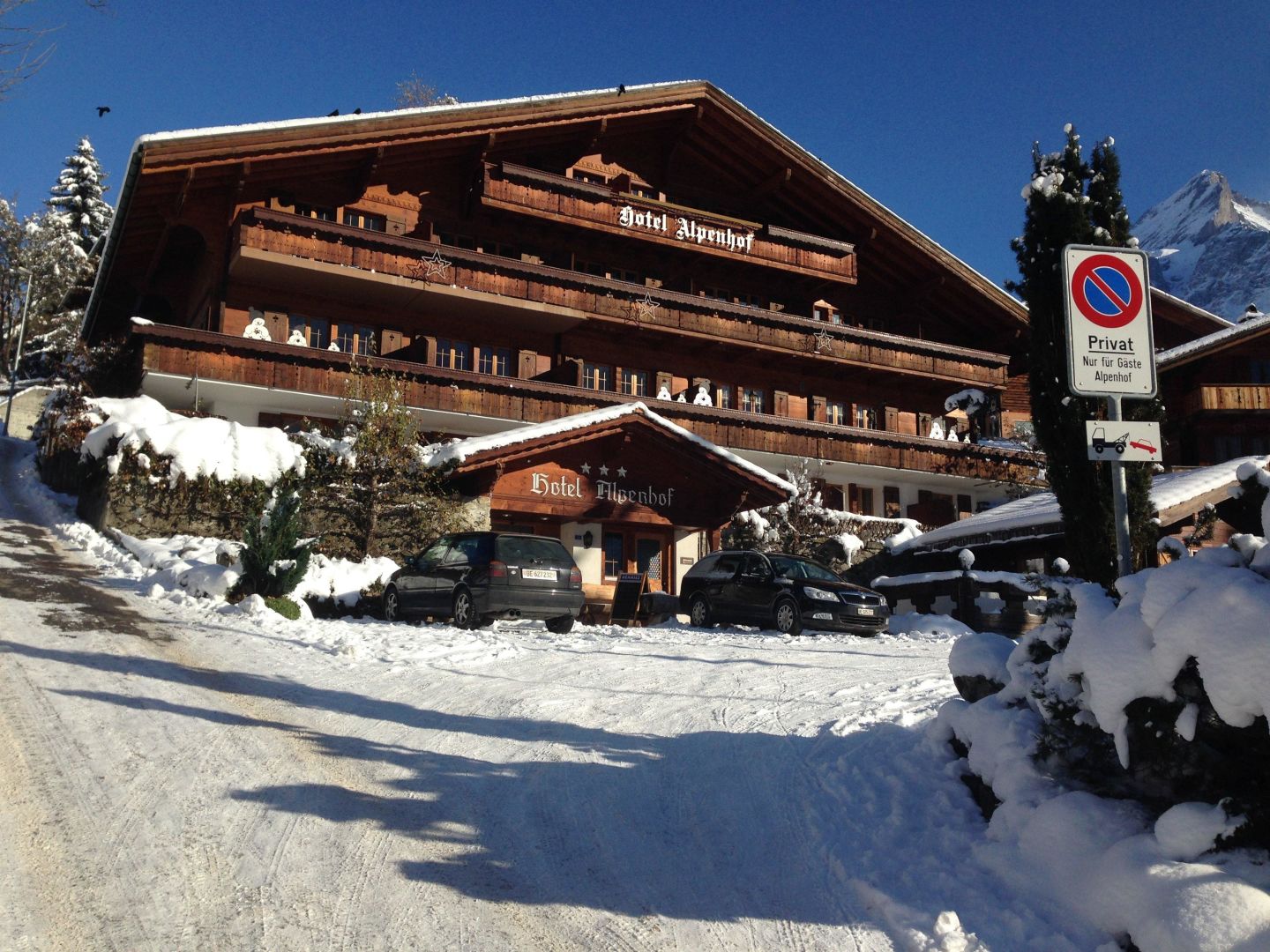 Hotel Alpenhof - Grindelwald -