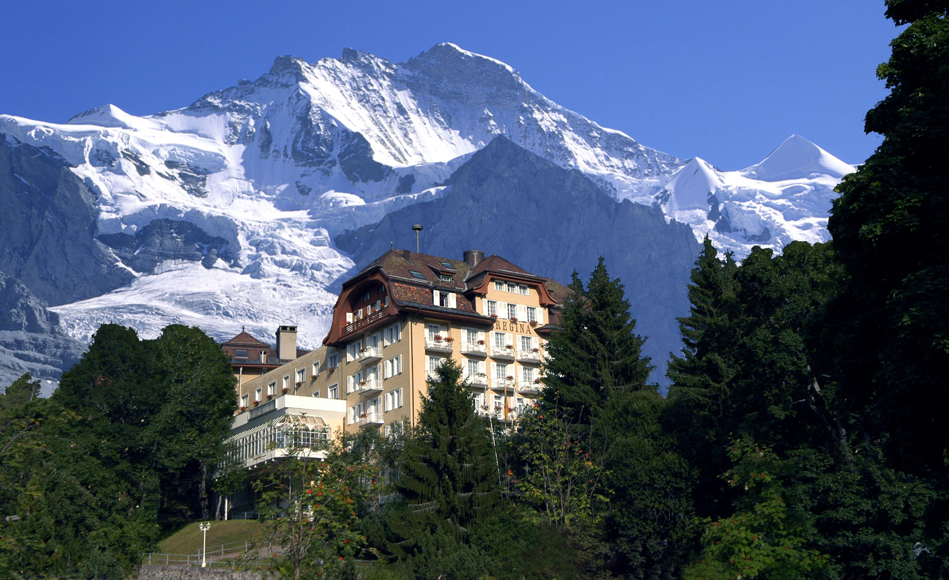 Hotel Alpenhof - Wengen -