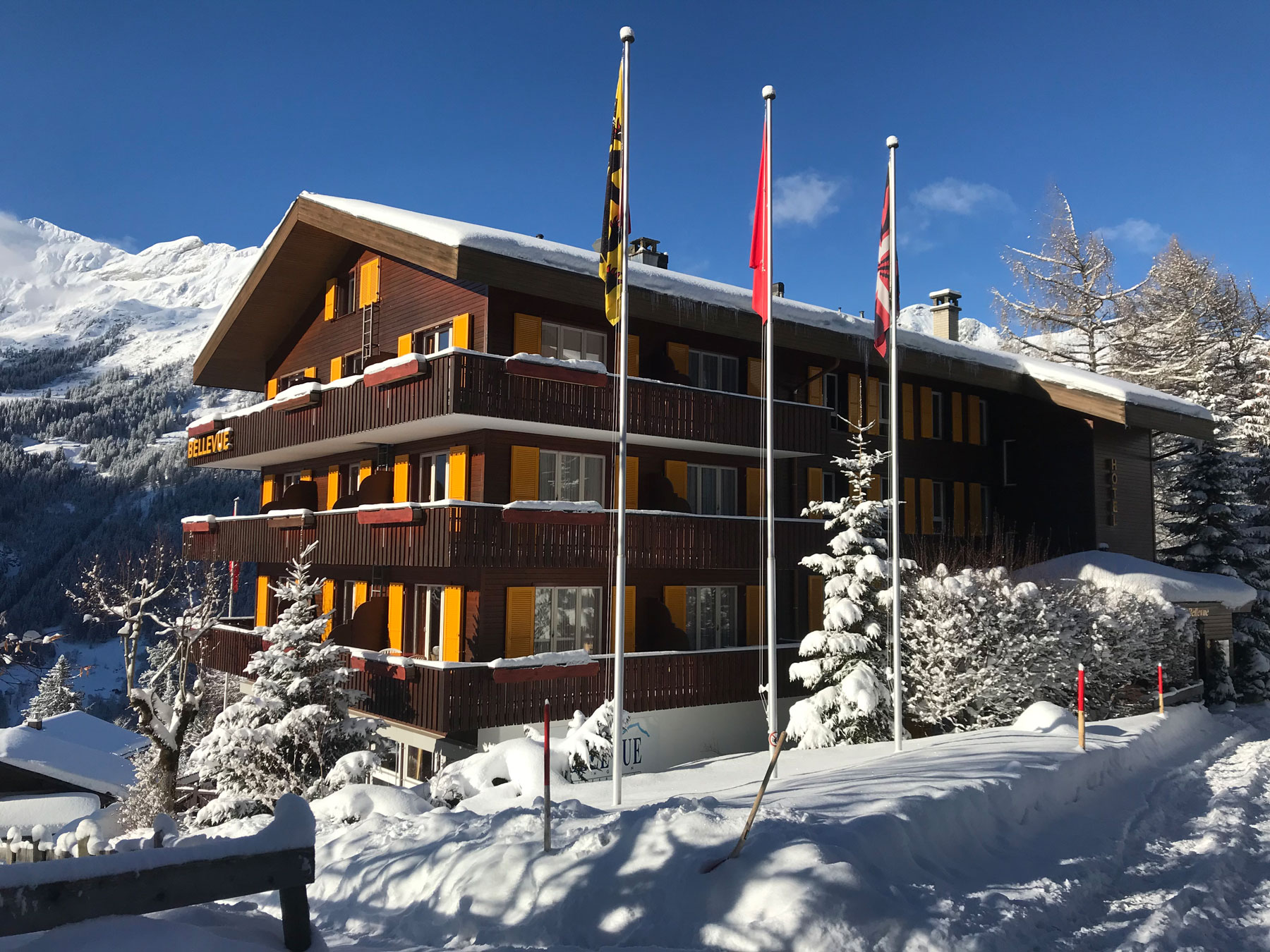 Hotel Alpenhof - Wengen -