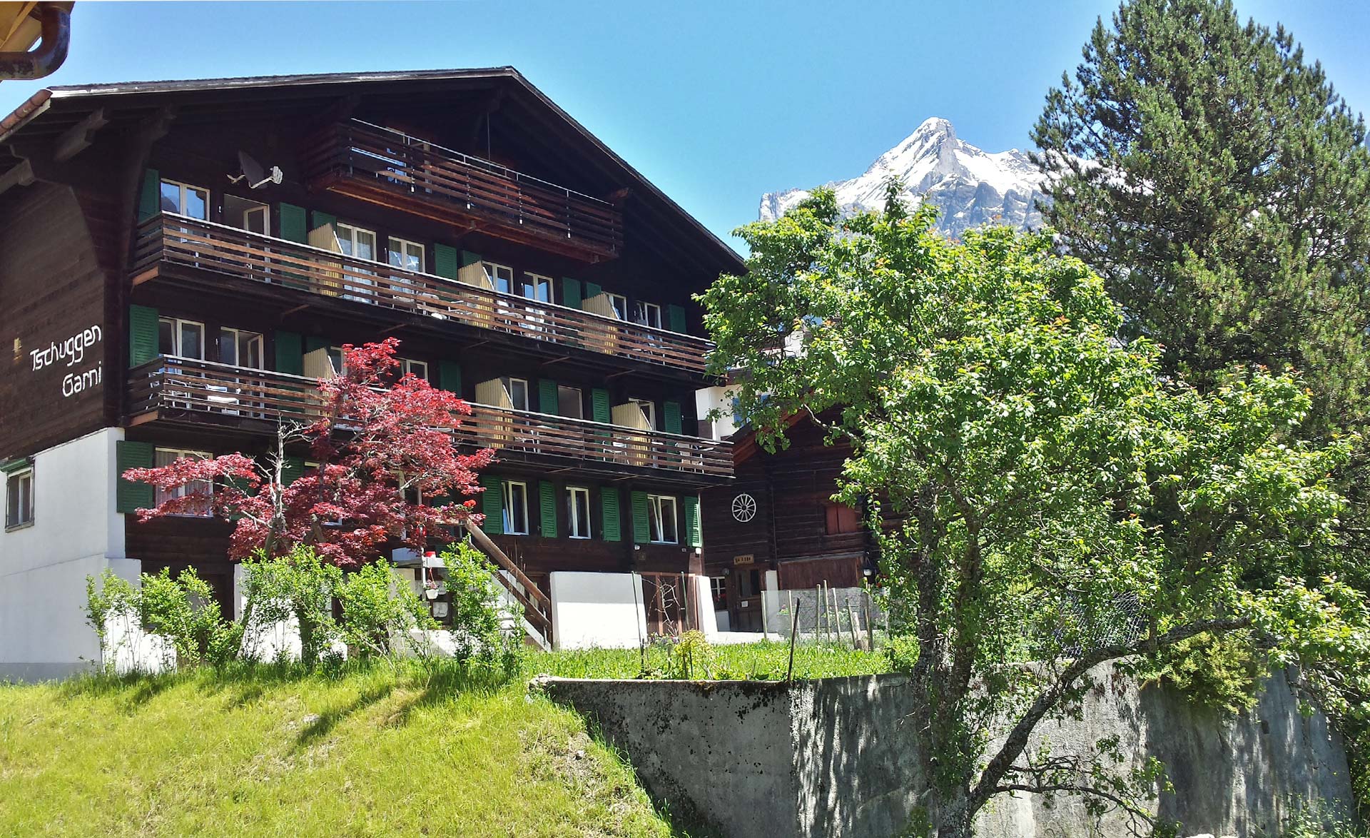 Hotel Alpenhof - Grindelwald -