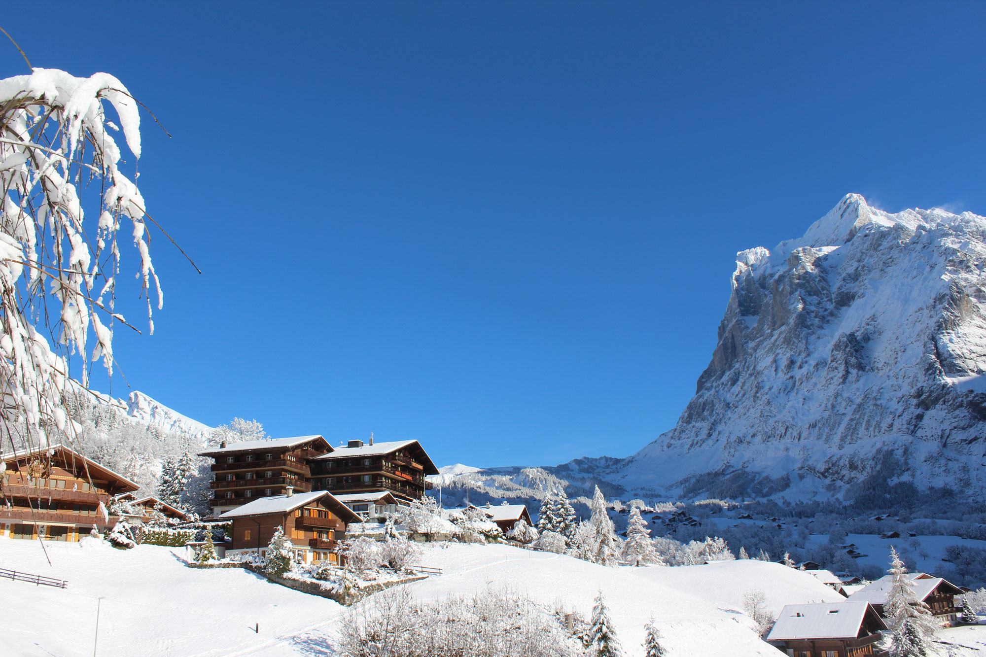 Hotel Alpenhof - Grindelwald -