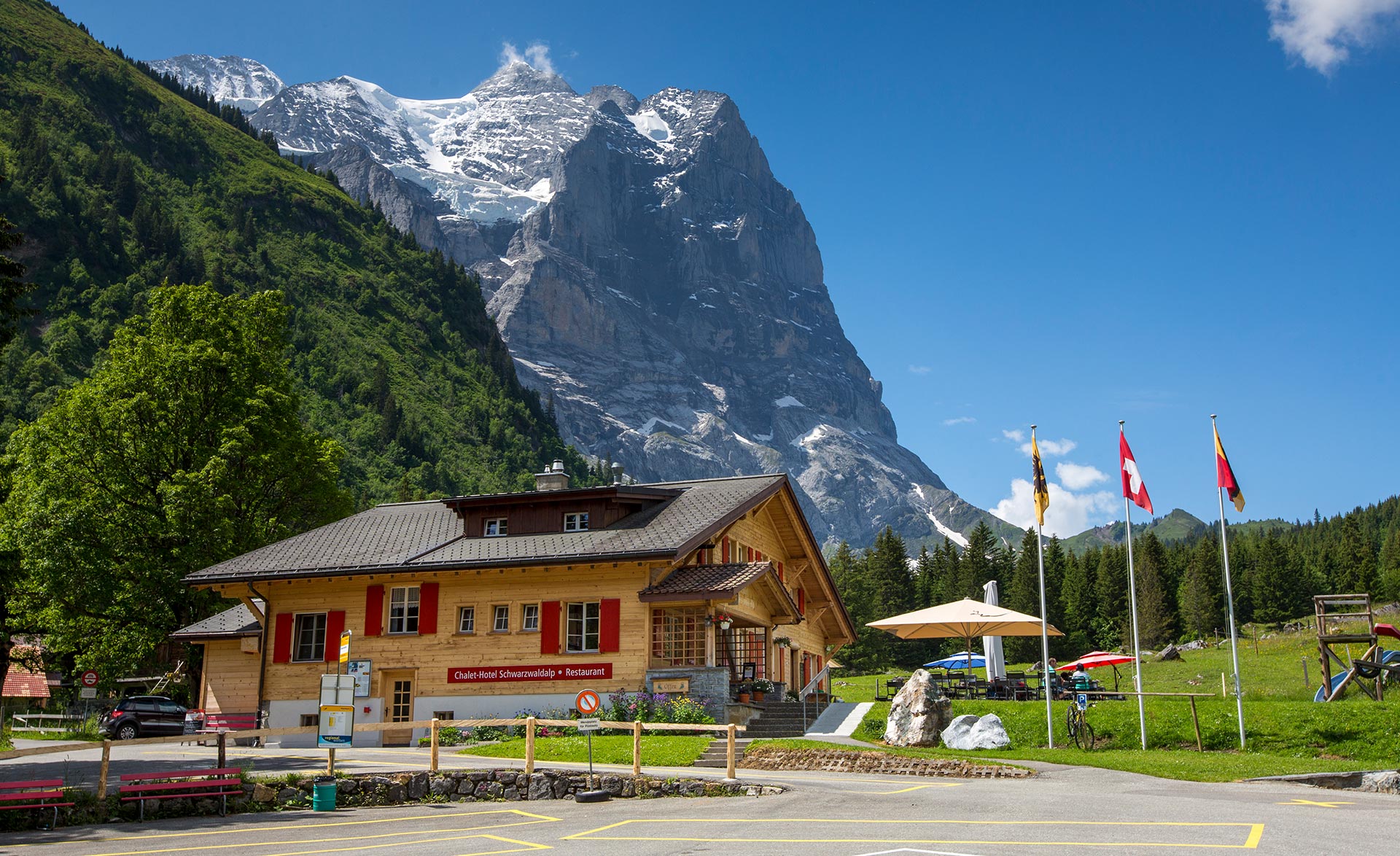 Hotel Alpenhof - Meiringen -