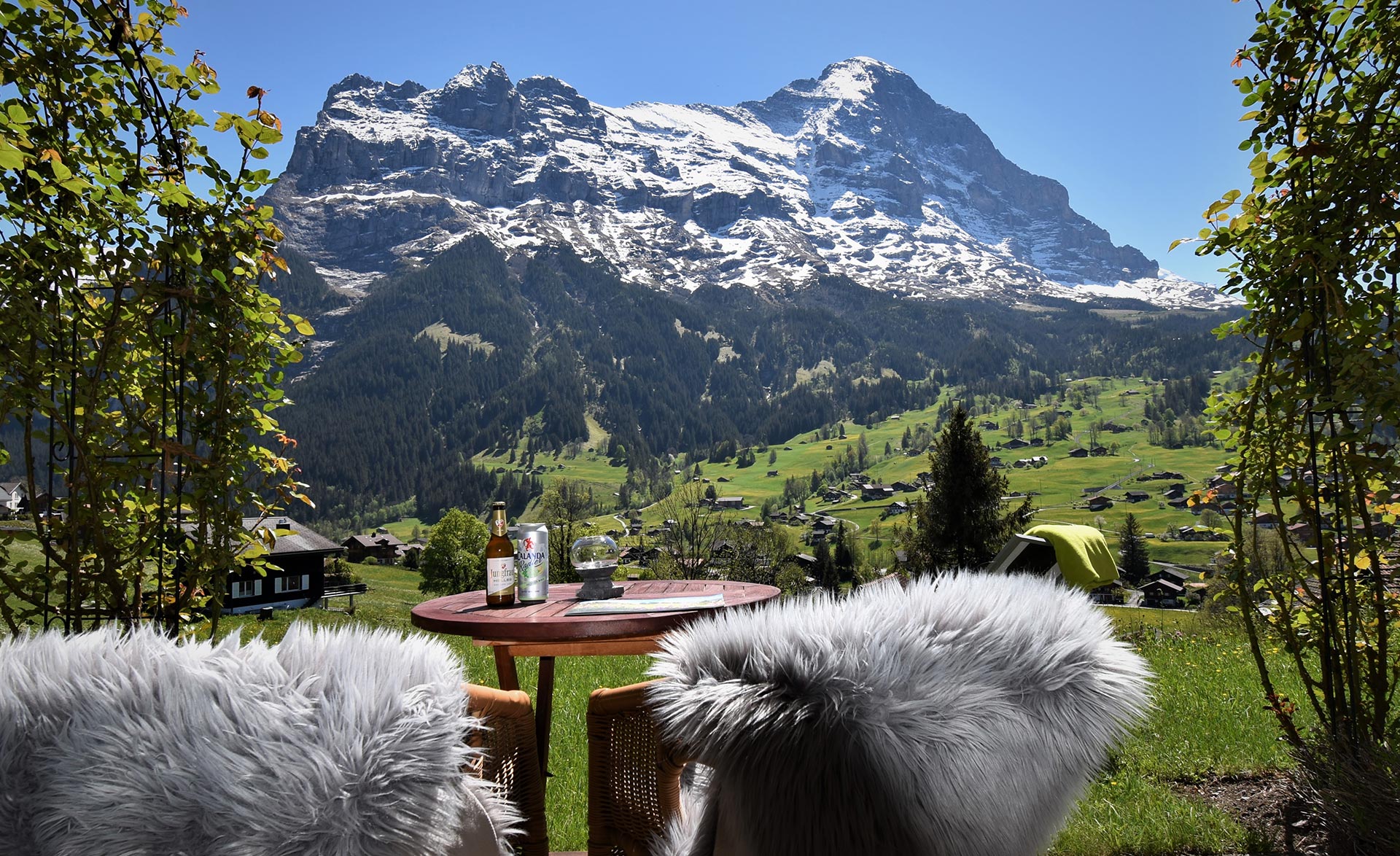 Hotel Alpenhof - Grindelwald -