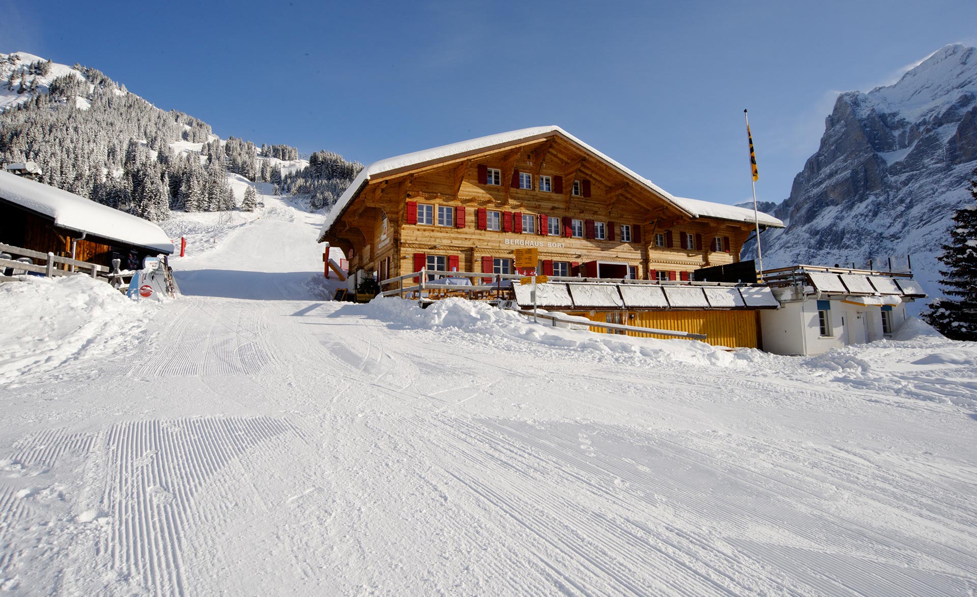 Hotel Alpenhof - Grindelwald -