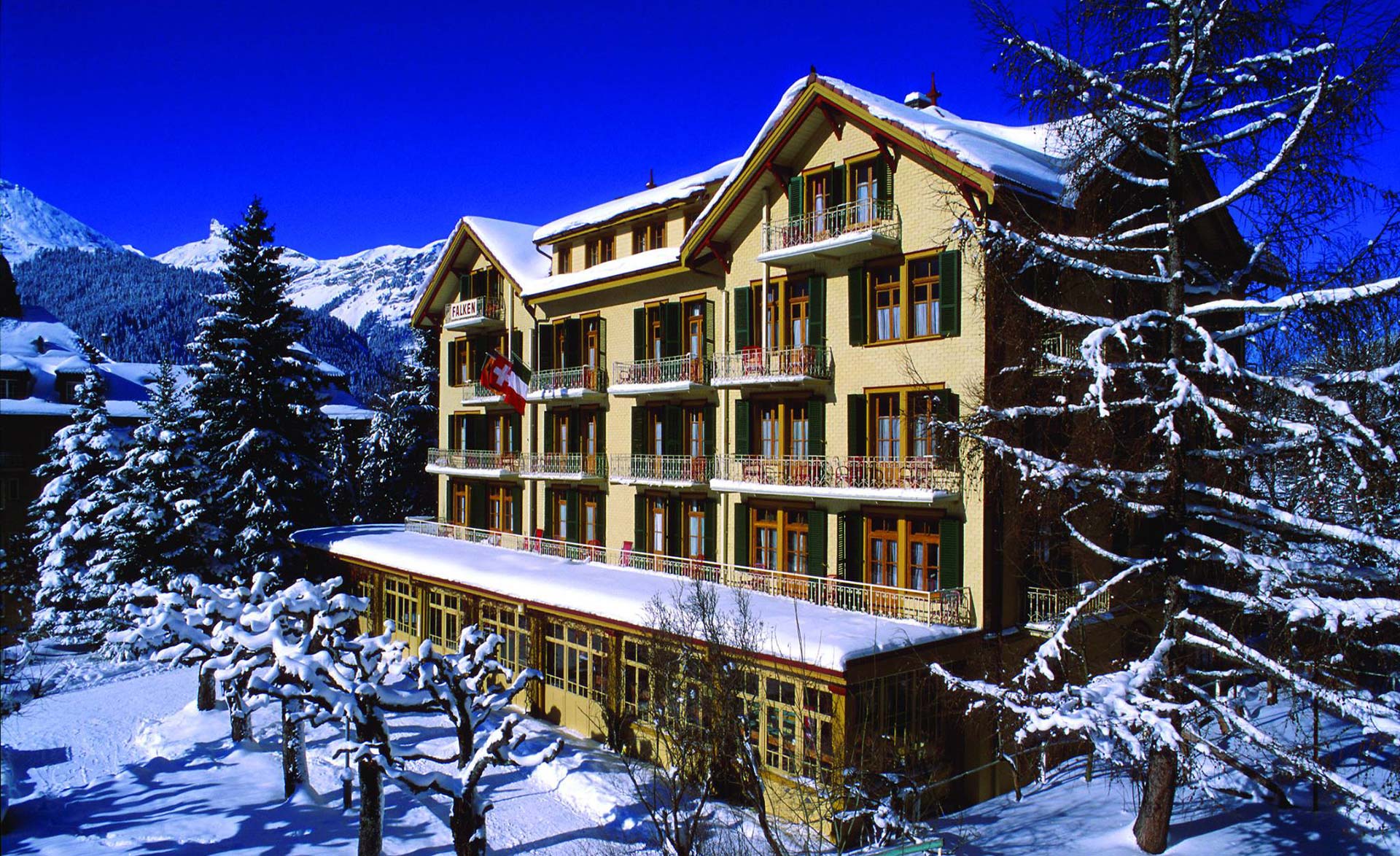 Hotel Alpenhof - Wengen -