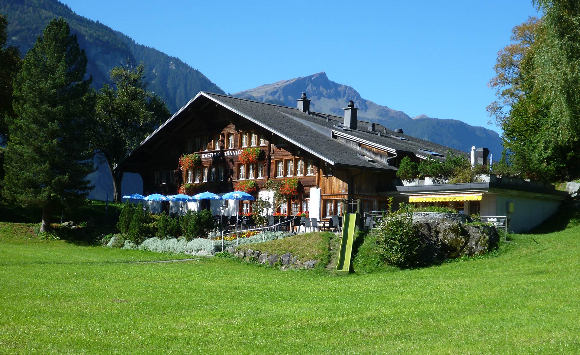 Hotel Alpenhof - Innertkirchen -