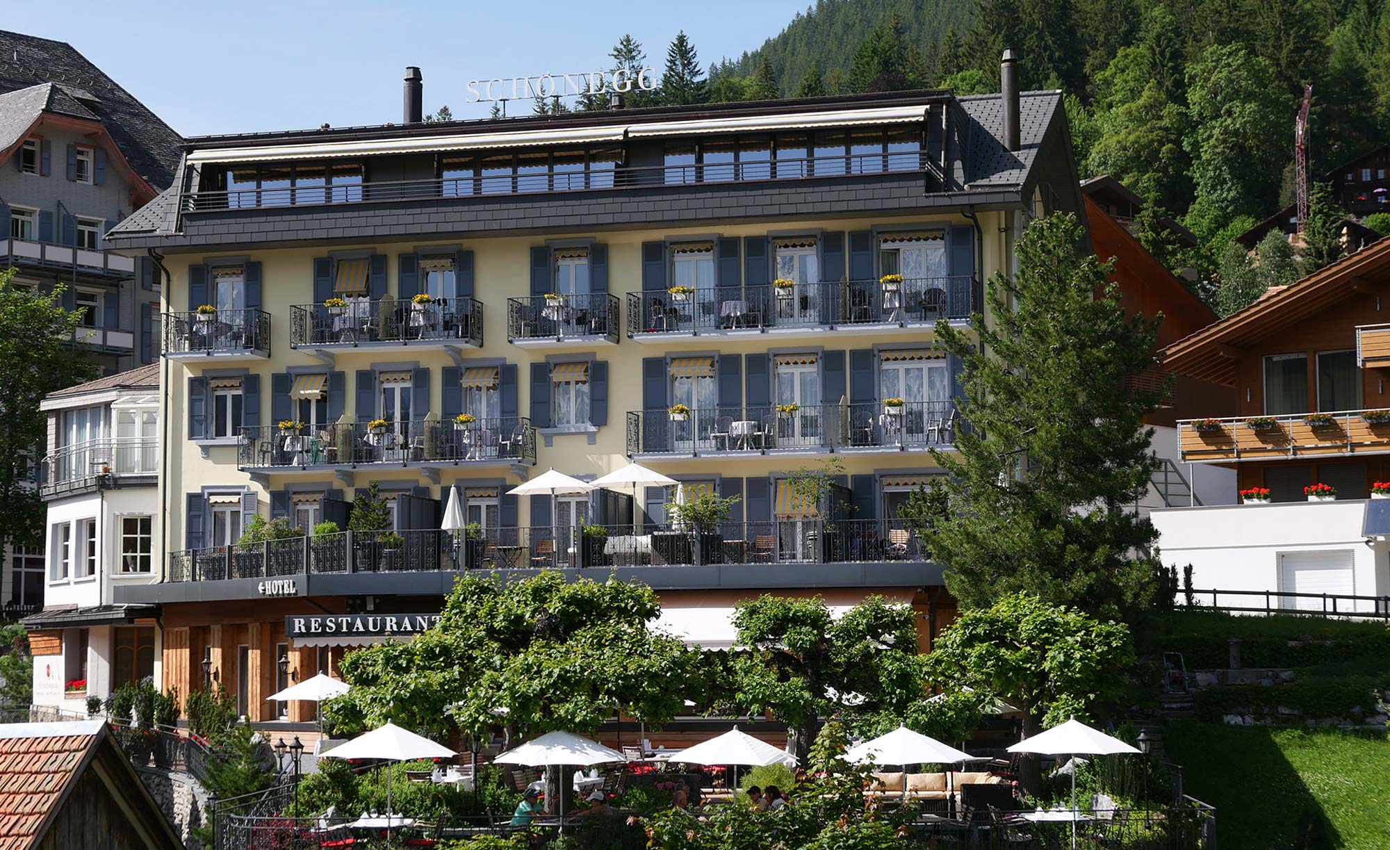 Hotel Alpenhof - Wengen -